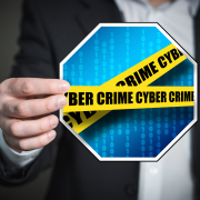 Trends, Highlights und Skurrilitäten im Internet