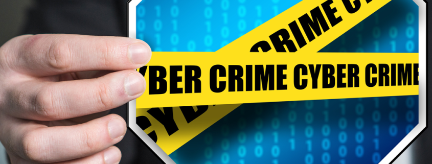 Online-Betrug - die Watchliste 1 Trends, Highlights und Skurrilitäten im Internet